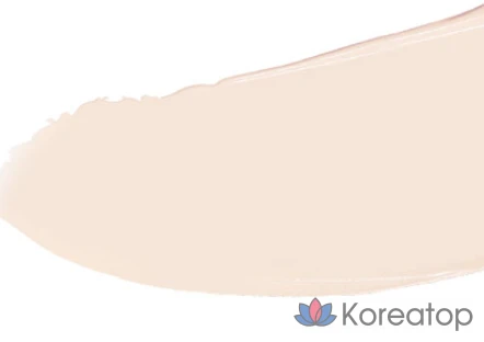Тонер ABOUT TONE Skin Layer Cover Fit Concealer, оттенок 21 Warm Light, 5.6 г, 1 шт.