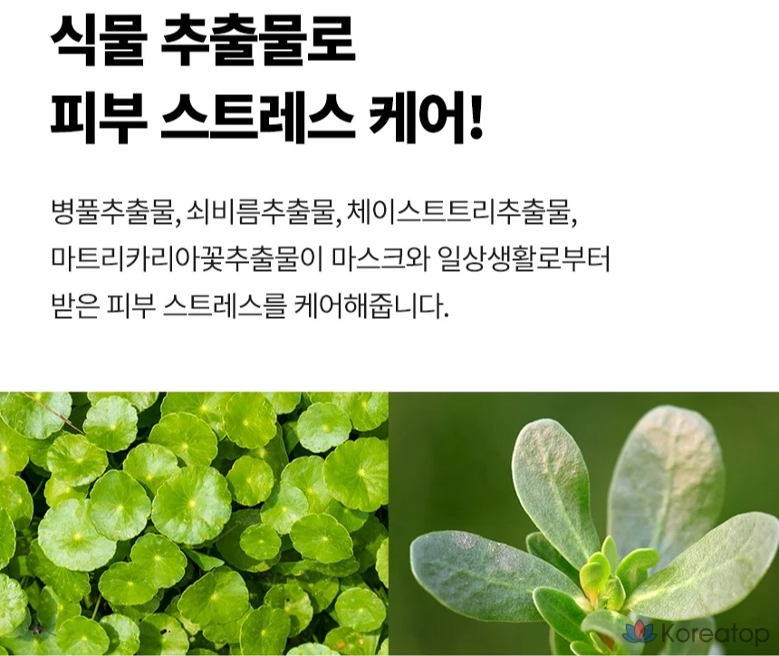 Тонер Tony Moly Wonder Hyaluronic Acid Moisture Toner, 500 мл, 1 шт.