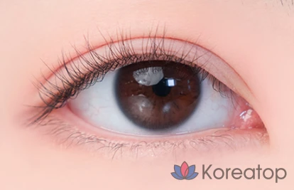 Палетка теней для век ROM&ND Better Than Eyes Palette, оттенок W03 Dried Strawberry, 1 шт., фото 4