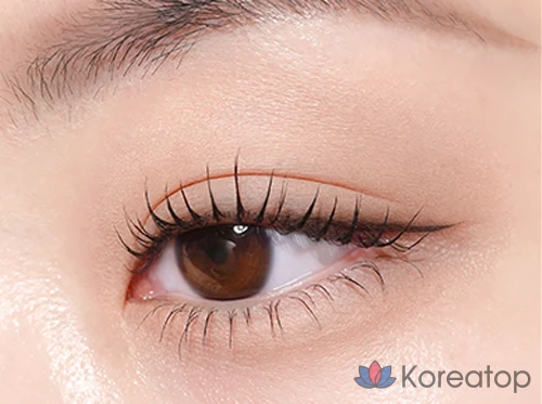Тушь для ресниц MERZY Micro Fixing Volume Curling Mascara, оттенок MM2 Black, 9 мл, 1 шт.