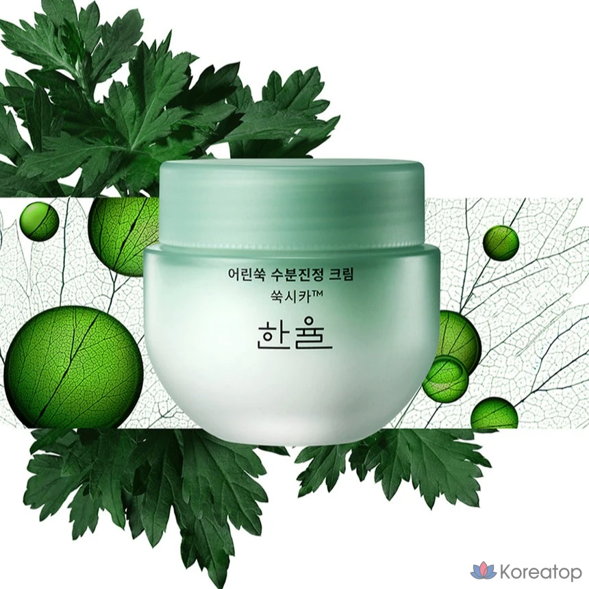 Крем HANYUL Artemisia Soothing Moisture Cream, 55 мл, 1 шт.