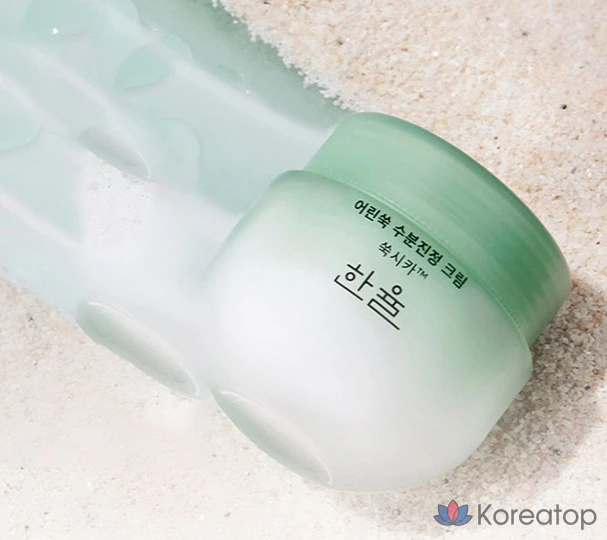 Крем HANYUL Artemisia Soothing Moisture Cream, 55 мл, 1 шт.