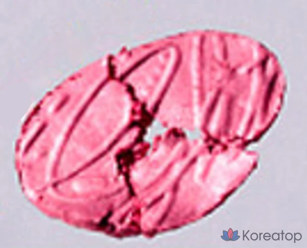 Хайлайтер fwee Glitz Stone Highlighter, оттенок HL01 Fever Garnet, 5.9 г, 1 шт., фото 2