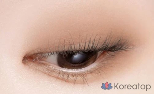 Тени для век ABOUT TONE Return to Basic Shadow Palette, оттенок 01 Classic, 9 г, 1 шт., фото 3