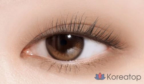 Тени для век ABOUT TONE Return to Basic Shadow Palette, оттенок 01 Classic, 9 г, 1 шт., фото 5