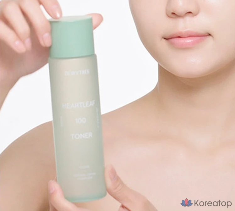 Тонер Dewytree Houttuynia Cordata 100 Toner, 200 мл, 1 шт.