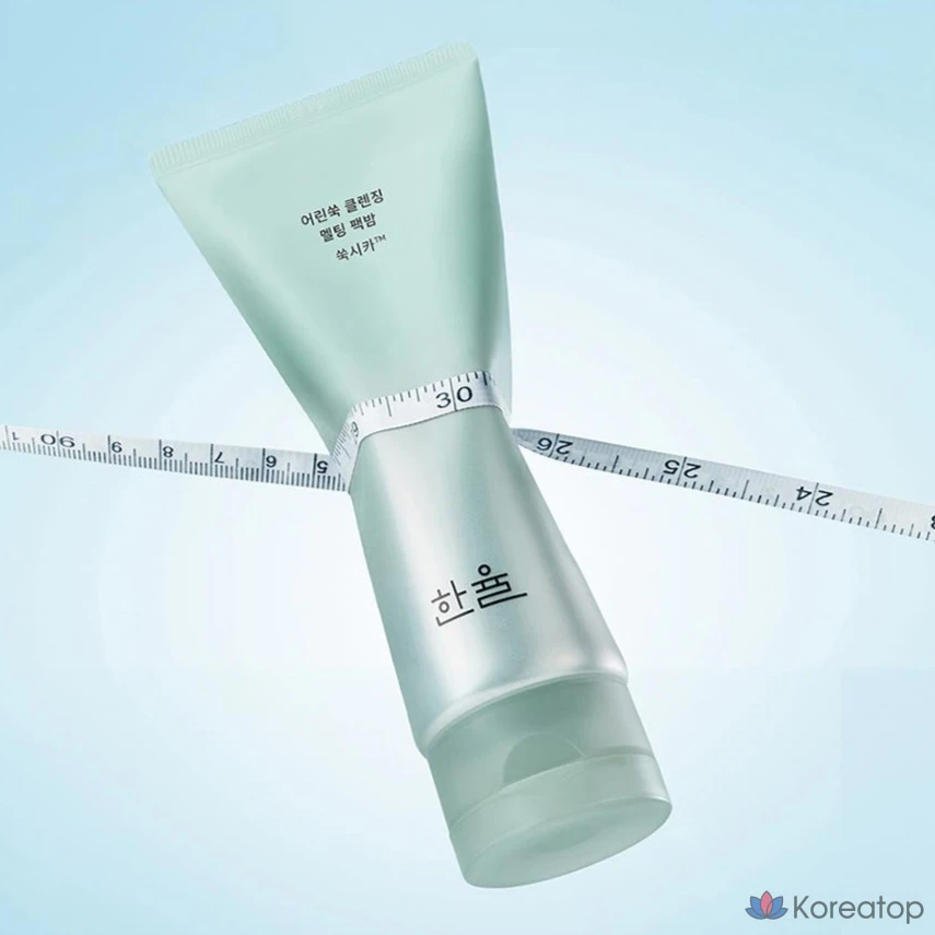 Бальзам-пилинг для лица HANYUL Artemisia Cleansing Melting Pack Balm, 100 г, 1 шт.