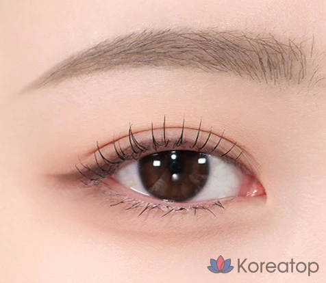 Тинт для бровей Espoir The Brow Color Fixing Cara, оттенок Cool Gray, 3 г, 1 шт., фото 3