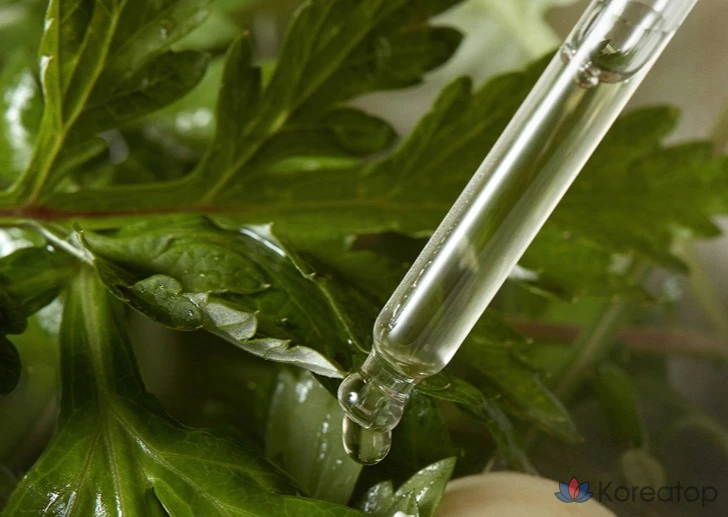 Сыворотка I'm From Mugwort Serum, 30 мл, 1 шт.