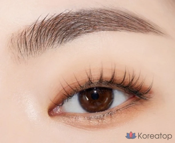 Тинт для бровей Etude House Clear False Brow Cara, оттенок 1 Rich Brown, 4.5 г + 9 г, 1 шт.