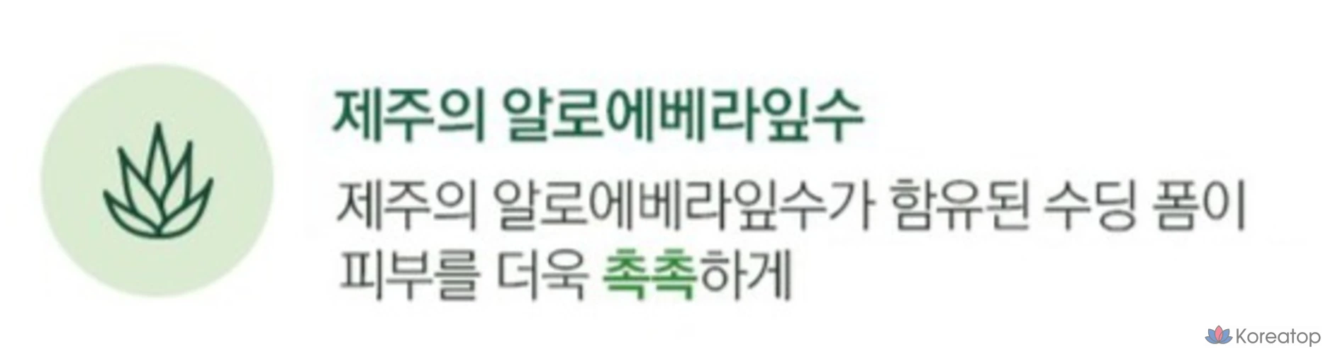 Очищающая пенка The Face Shop Jeju Fresh Aloe Soothing Cleansing Foam, 150 мл, 1 шт.