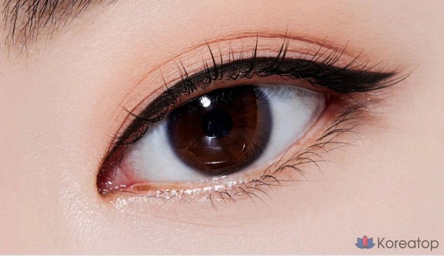 Лайнер для глаз Etude House Line Fix Brush Liner, оттенок 02 Brown, 0.5 г, 1 шт.