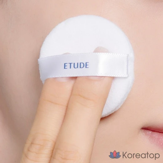 Пудра Etude House Pore Ssok Powder, 5 г, 1 шт.