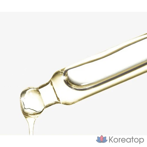 Ампульная сыворотка CNP Laboratory Propolis Energy Ampoule, 15 мл, 1 шт.