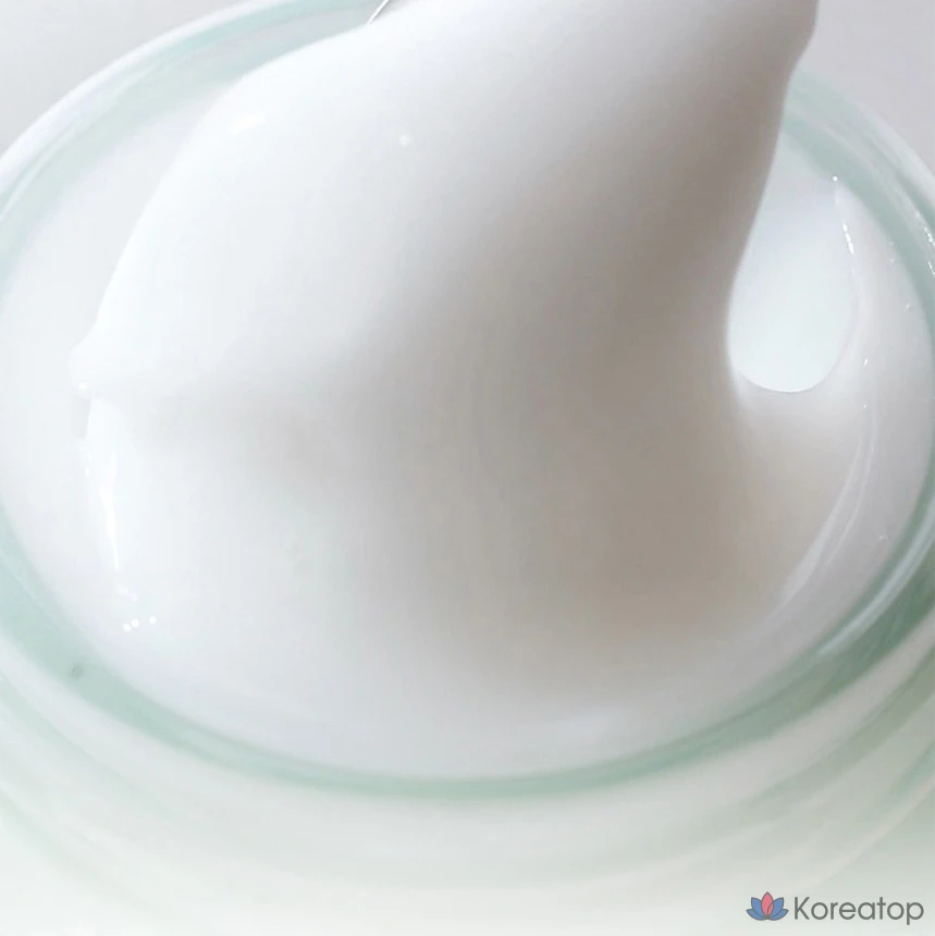 Крем HANYUL Artemisia Soothing Moisture Cream, 55 мл, 1 шт.