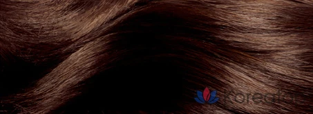 Краска для волос Elastine Salon de Color & Saichi, оттенок Dark Brown, 1 шт., фото 5