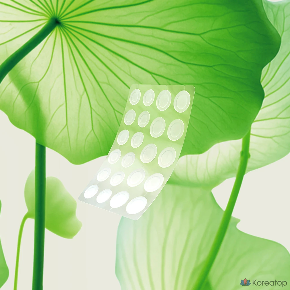 Патчи для проблемной кожи Beplain Cicaterol Spot Patch, 110 шт.