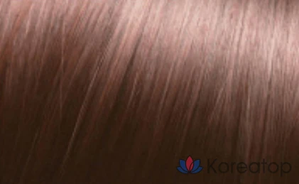 Краска для волос JennyHouse Premium Hair Color, оттенок Pink Brown 11PB, 1 шт., фото 2