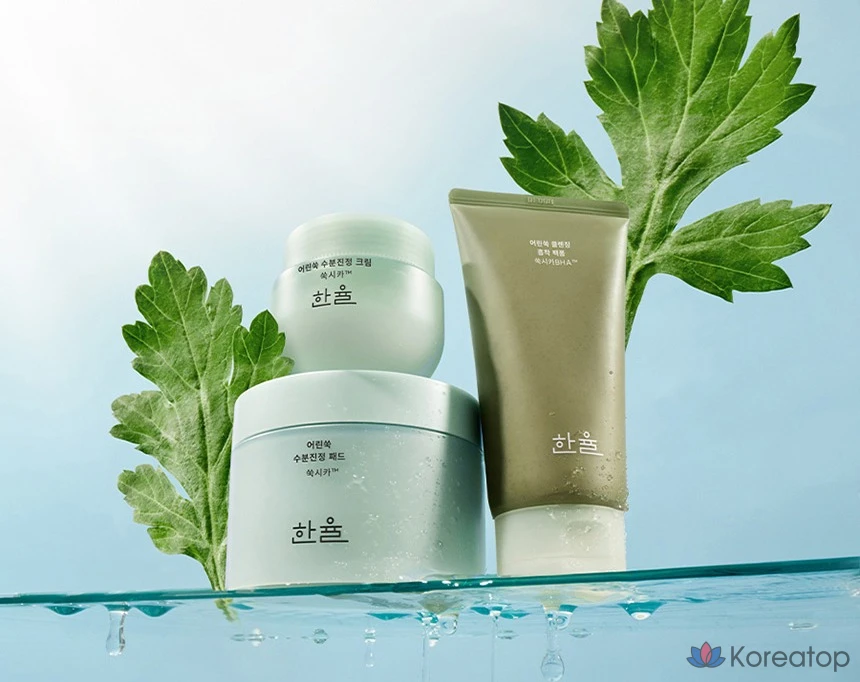 Крем HANYUL Artemisia Soothing Moisture Cream, 55 мл, 1 шт.