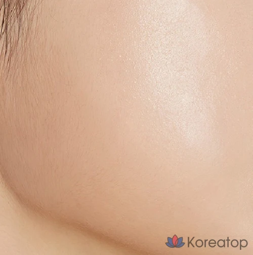Набор для контуринга Etude House Shadow Shading Re-illumination 5g x 2 Types + Jaw Shading Brush Set, оттенок Light On + Tone on Tone (Shading), 1 шт.