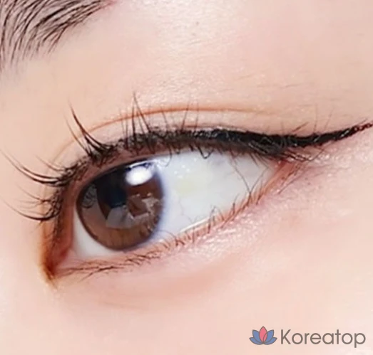 Лайнер для глаз Etude House Line Fix Brush Liner, оттенок 02 Brown, 0.5 г, 1 шт.