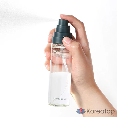 Мист для лица Pyunkang Yul Calming Moisture Mist, 100 мл, 1 шт.