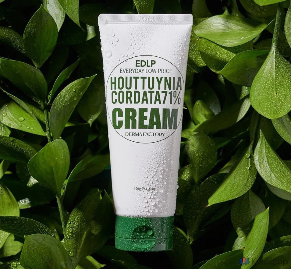 Крем для лица Derma Factory EDLP Heartleaf 71% Moisture Cream, 120 г, 1 шт., фото 2