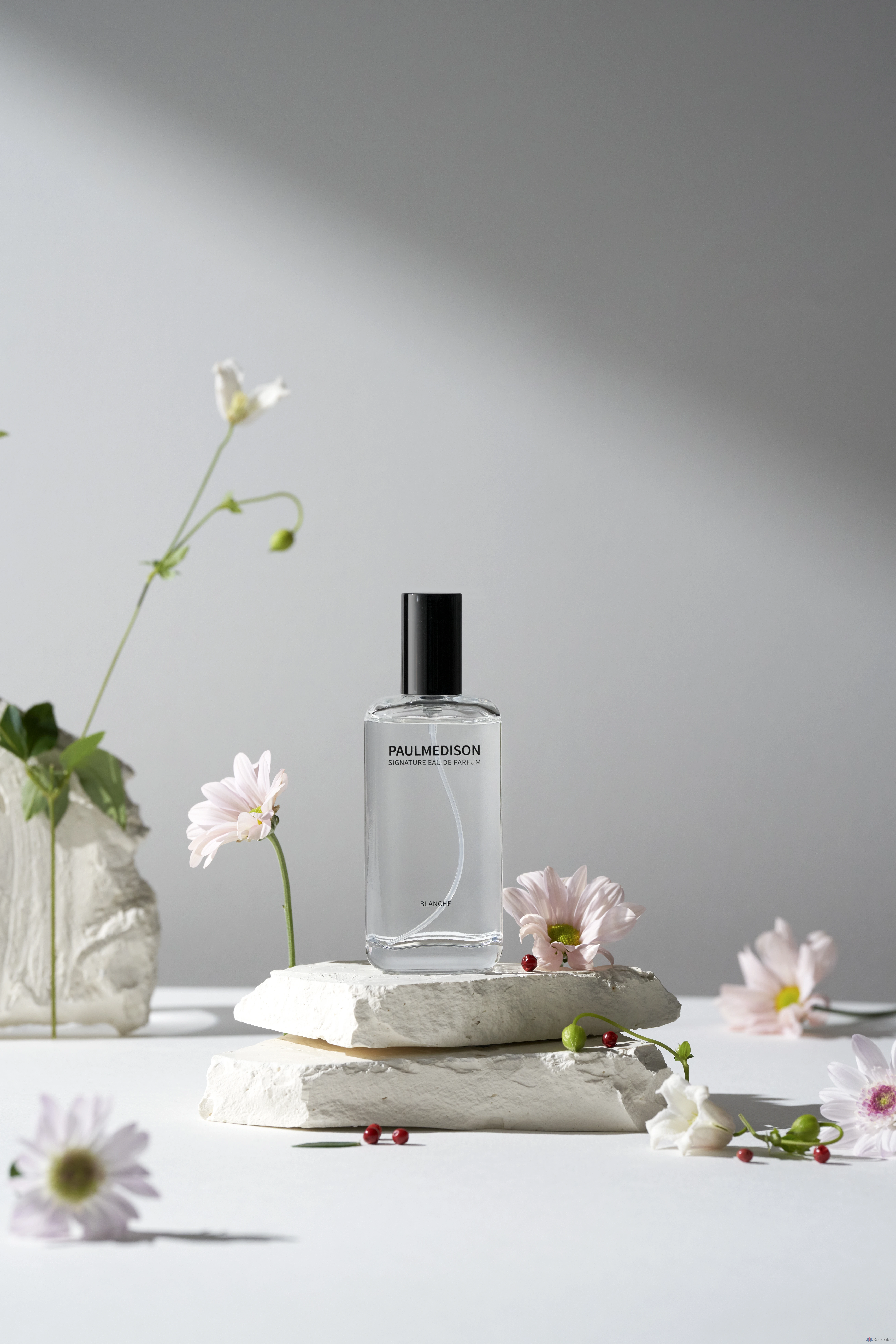 Парфюмерная вода Paul Medison Signature Blanche Eau de Parfum, 50 мл, 1 шт.
