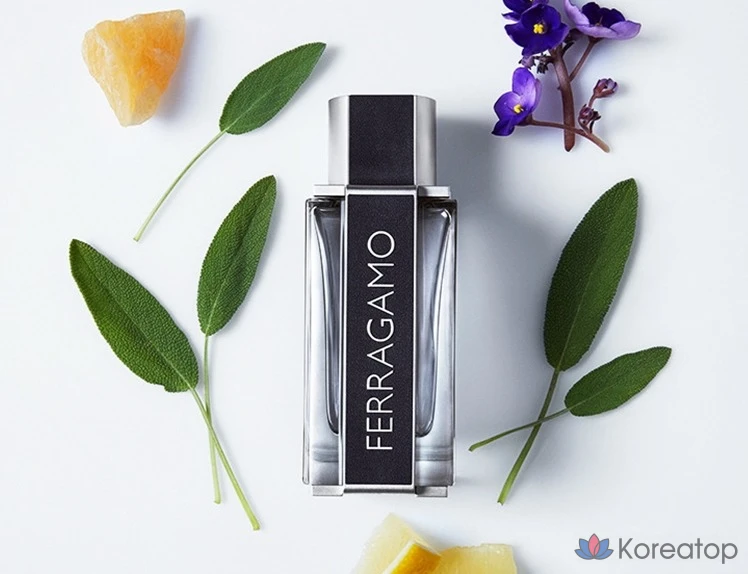 Туалетная вода Ferragamo EDT, 50 мл, 1 шт.