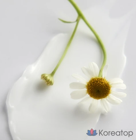 Крем EssenHerb Anytime Quick Multi Cream, 100 мл, 1 шт.