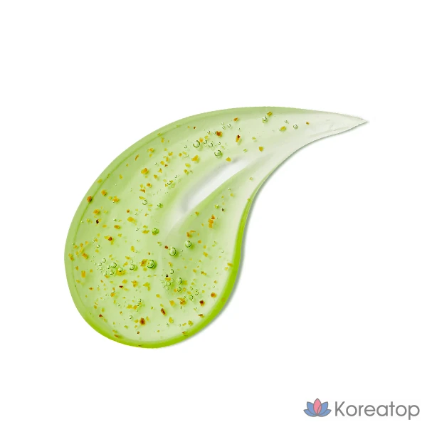 Шампунь для ухода за кожей головы anillo Lime Sunday Refresh Shampoo, 450 мл, 1 шт.