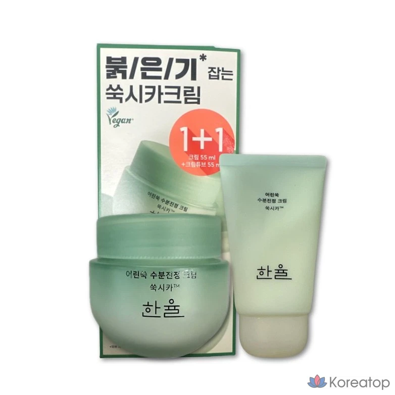 Крем HANYUL Artemisia Soothing Moisture Cream, 100 мл, 1 шт.