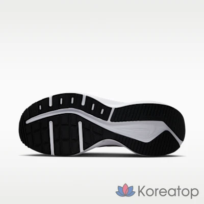 Кроссовки мужские Nike Downshifter 14