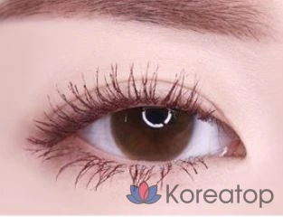 Тушь для ресниц Lilybyred 9to9 Survival Color Mascara, оттенок 02 Rosy Brown, 6 г, 1 шт.