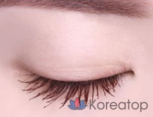Тушь для ресниц Lilybyred 9to9 Survival Color Mascara, оттенок 02 Rosy Brown, 6 г, 1 шт.