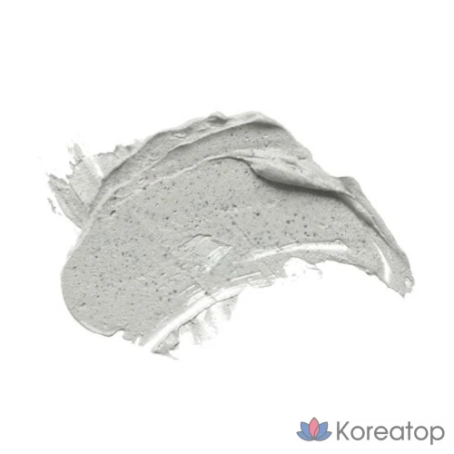 Маска для лица IsNtree Mugwort Calming Clay Mask, 100 мл, 1 шт.