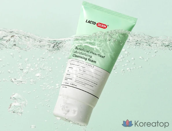 Очищающая пенка Lactoderm Skin-Friendly Lactobacillus Houttuynia Cordata Moisture Cleansing Foam, 130 мл, 1 шт.
