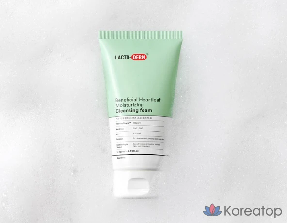 Очищающая пенка Lactoderm Skin-Friendly Lactobacillus Houttuynia Cordata Moisture Cleansing Foam, 130 мл, 1 шт.