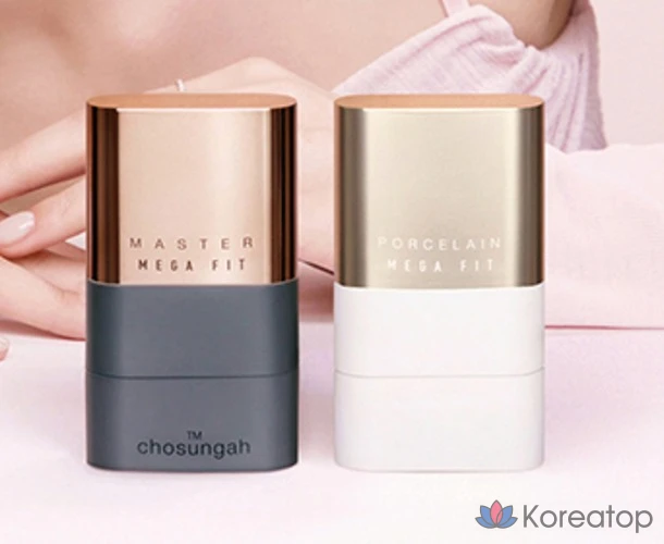 Стик-фундамент CHOSUNGAH Mega Fit Stick Foundation Master Porcelain SPF50+ PA++++, оттенок 02W Honey Beige, 16 г, 1 шт.
