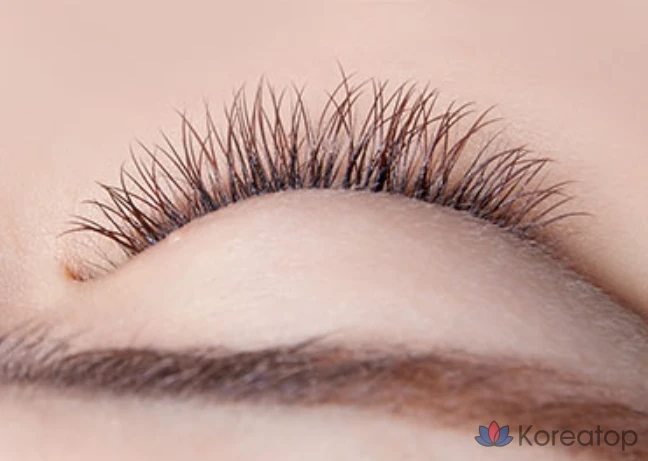 Тушь для ресниц Missha No Retouch Fix Mascara, прозрачная, 9.5 г, 1 шт., фото 8