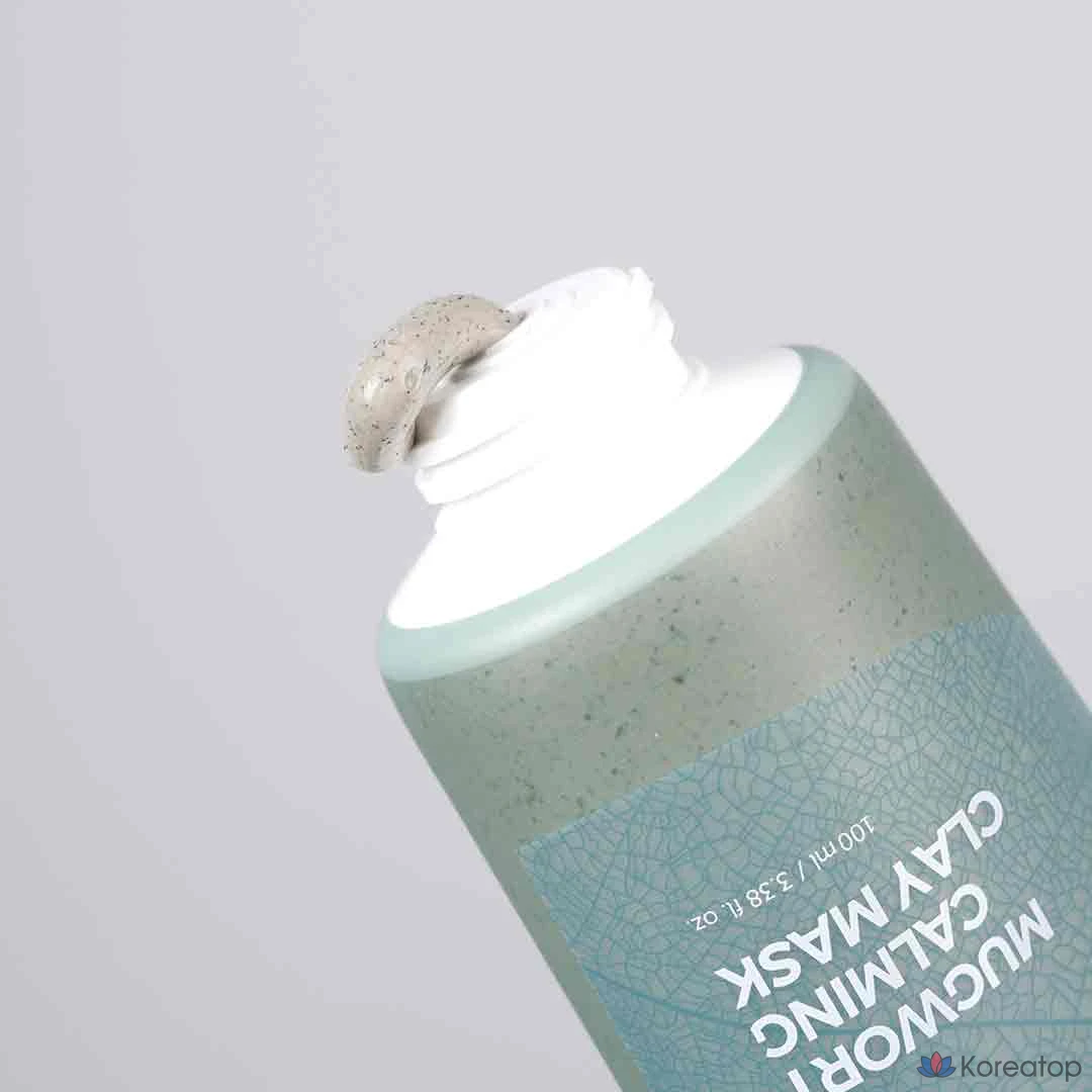Маска для лица IsNtree Mugwort Calming Clay Mask, 100 мл, 1 шт.