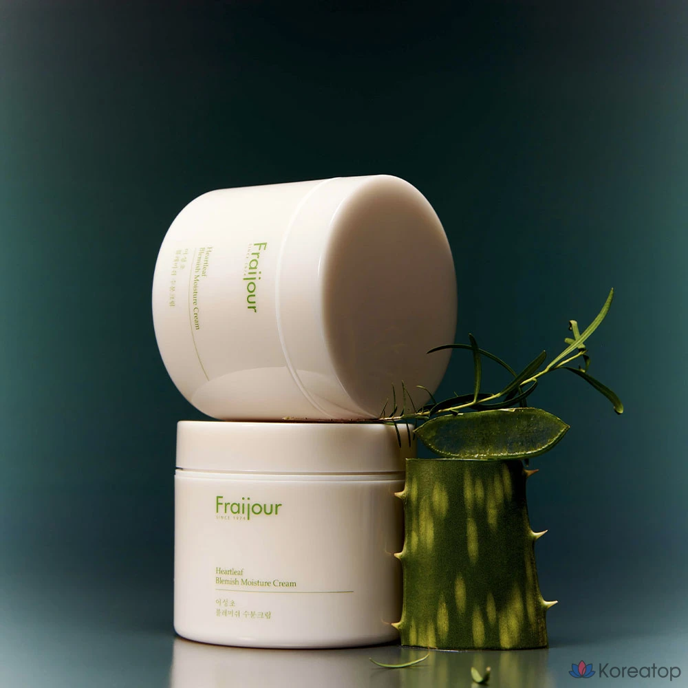 Крем Fraijouer Centella Asiatica Blemish Cream, 100 мл, 1 шт.