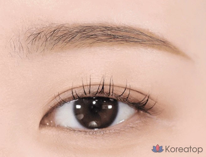 Карандаш для бровей The Face Shop Eye Rise Slim Brow, оттенок 05 Light Brown, 0.06 г, 1 шт., фото 2