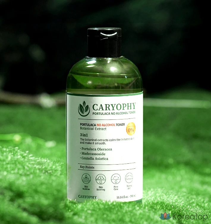 Тонер CARYOPHY Mild Acid Pore Toner, 300 мл, 1 шт.