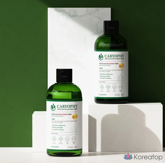 Тонер CARYOPHY Mild Acid Pore Toner, 300 мл, 1 шт.