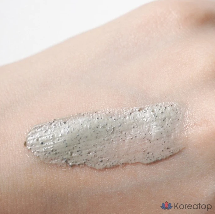 Маска для лица IsNtree Mugwort Calming Clay Mask, 100 мл, 1 шт.