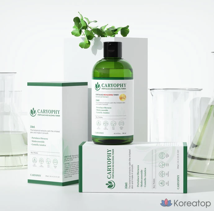 Тонер CARYOPHY Mild Acid Pore Toner, 300 мл, 1 шт.