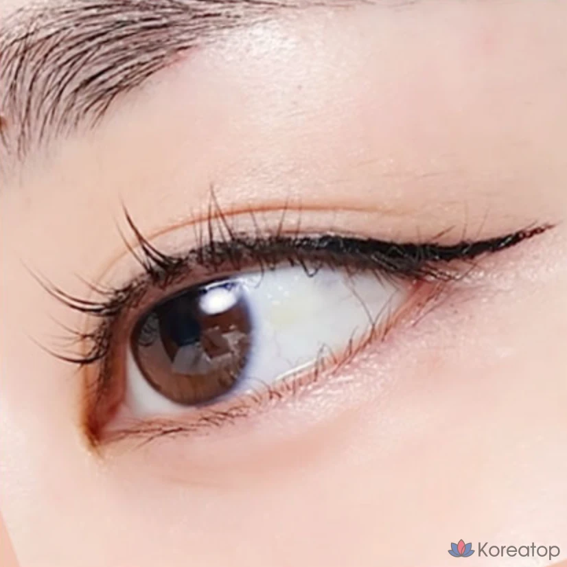 Лайнер для глаз Etude House Line Fix Brush Liner, оттенок 01 Black, 0.5 г, 1 шт., фото 8