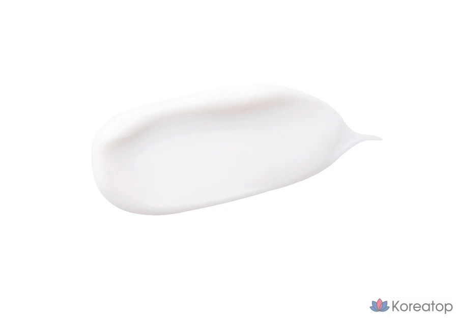 Крем Isntree Hyaluronic Acid Moist Cream, 100 мл, 1 шт.