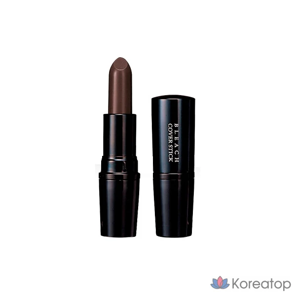 Кушон Prorance Bridge Cover Stick, 1 шт.